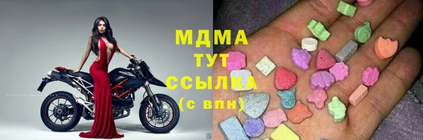 индика Алексин