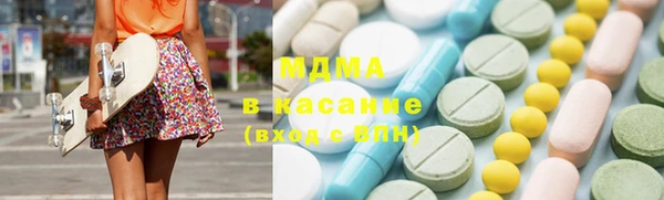 индика Алексин