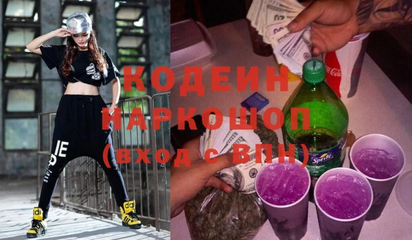 индика Алексин