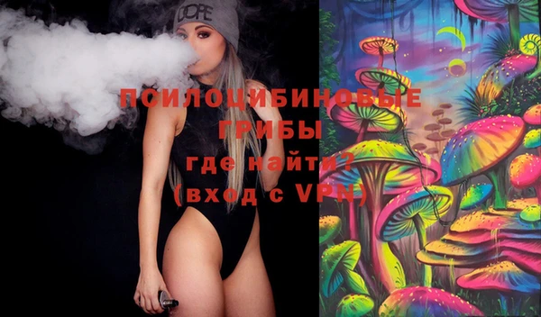 гашик Алексеевка