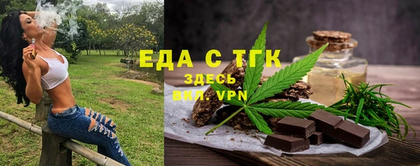 индика Алексин