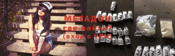 индика Алексин
