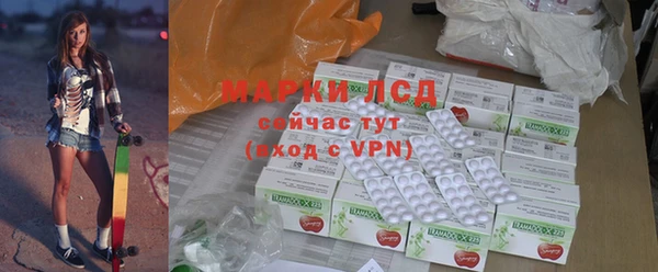 индика Алексин